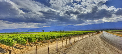 cafayate